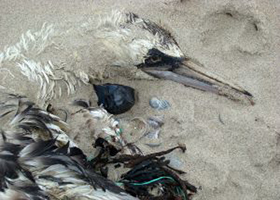 Does Socially Responsible Investing Work?