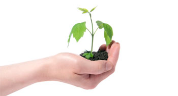 The growing role of social responsibility
