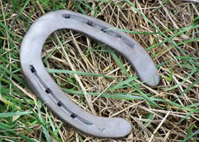 What Explains Hedge Fund Returns?