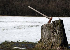 Commodities: The Case for Direct Investment