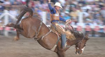 Taming volatility through equity minimum risk strategies