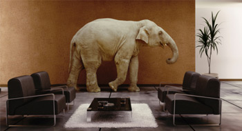 The elephant and the iceberg: Mental health in the workplace