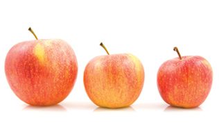 10 Canadian pension funds ranked among top global equity investors: report