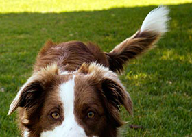 Are ETFs now driving stock prices?