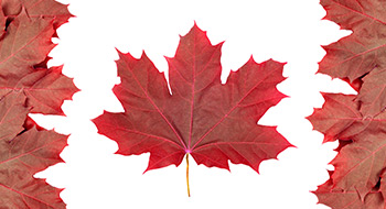 Employers should use Liberals’ win to boost participation in their pension plans