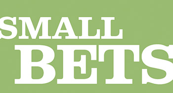 Are small plans investing in hedge funds?