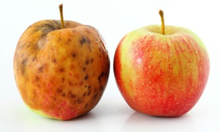 How to identify bad apples (and what to do with them)