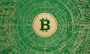 What are the merits and risks of investing in Bitcoin?