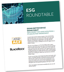 2017 ESG Roundtable