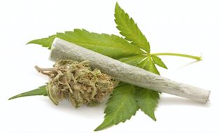 WSIB policy on medical cannabis takes effect