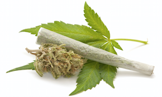 Tips for employers to prepare for legalization of recreational marijuana