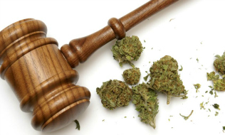 Employers concerned about ‘Wild West’ surrounding marijuana legalization: HRPA