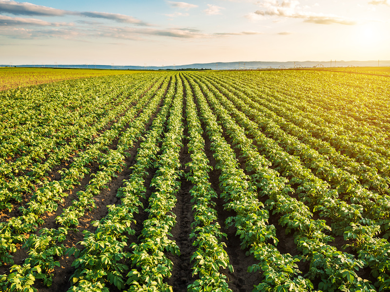 Caisse invests in sustainability, OMERS and Ontario Teachers’ sell stake in utility