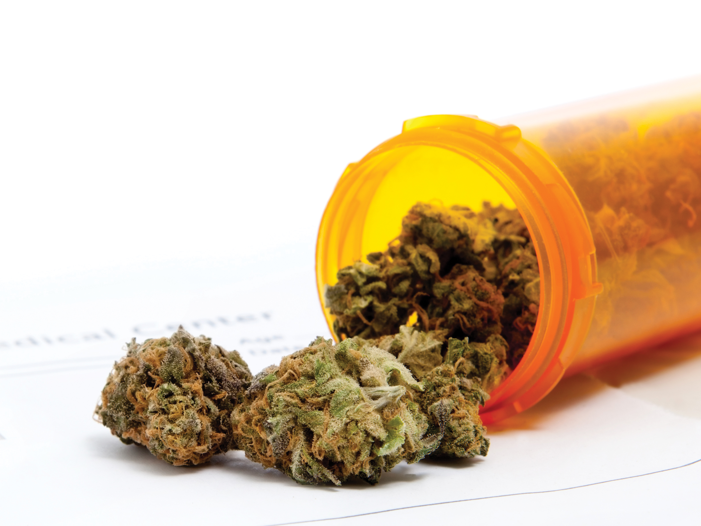 Roundtable: Plan sponsor considerations around medical cannabis coverage