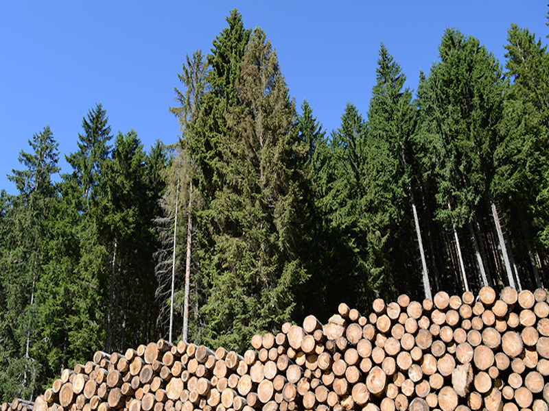 Eacom Timber workers reach agreement with pension, benefits improvements