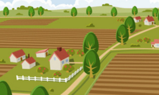A look at the diversification benefits of farmland investing for pension funds