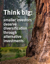 Read the Think big whitepaper