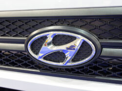 Copyright_dmyto_123RF